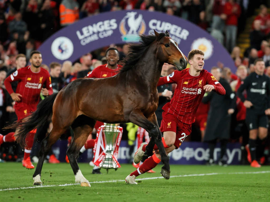 一股不可忽 一股不可忽